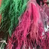 Hierba Barba de Dragón Flor Eterna Flor Seca Real Sueño de Yunnan Decoración Suave Materiales de Arte Fuegos Artificiales Hierba de Pelo Largo Decoración de Boda