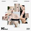 Pegatinas de Tatuaje Temporal con Combinación de Patrones Pequeños con Fórmula Herbal, Larga Duración, Impermeables, Estilo Sencillo y Fresco para Hombres y Mujeres, para Brazos y Piernas