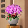Novo Estilo Chinês Grande Calibre Phalaenopsis Vaso de Flores Especial Cesta Azevinho Balde Dourado Balde de Suporte Decoração de Interiores Ornamentos