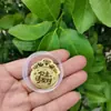 Adesivo de Celular Dourado Ouro Puro Peça de Ouro 999 Adesivo Princesa Por Favor Fique Rica e Próspera Todos os Dias Deus da Riqueza Dourado Presente de Aniversário