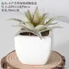 Simulação carnudo bonsai de cerâmica home office enfeites de mesa plantas verdes em vasos adereços de tiro bacia de combinação artificial