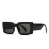 2024 Nuevas gafas de sol cuadradas transfronterizas, modernas gafas de sol retro con encanto para disparos callejeros 9236