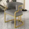 Silla Sofá de Lujo Sencillo para el Hogar Silla de Ocio para Apartamento Pequeño Sala de Estar Sofá Individual Tocador de Dormitorio Silla de Maquillaje