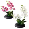 Película Impresa en 3D Nueva 12 Flores Phalaenopsis Bonsái Flor Fábrica Suministro Directo Moda Decoración del Hogar