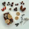 Paquete de Materiales Hechos a Mano para Bricolaje Flores Mixtas Plantas Naturales Flores Secas Piñas de Navidad Estilo Bosque para Jardín de Infancia Decoración de Creación Ambiental