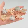 Presilha de Cabelo Estilo Ins com Tema Oceânico e Pedrarias Completas, Mini Presilha de Garra Aranha, Presilha de Tubarão Estrela do Mar de Alta Qualidade com Pedrarias Completas, Mini Presilha de Cabelo