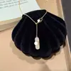 Colar de Moda Europeu e Americano Transfronteiriço Nariz de Porco Super Brilhante Clássico Versátil Joia Levemente Luxuosa Joia de Alto Padrão Colar de Nicho