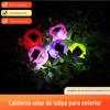 Luzes Solares de Tulipa Direto da Fábrica Luzes Decorativas de Jardim LED Luzes de Chão Externas de Plástico Economia de Energia e Ecologicamente Corretas
