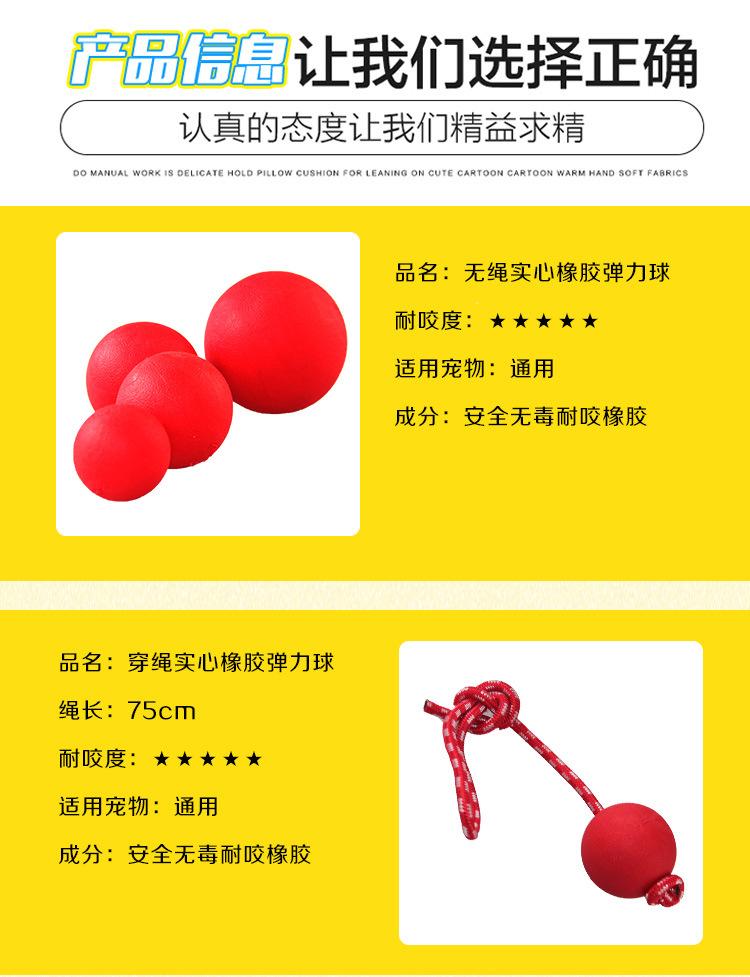 宠物球_02