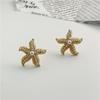 Brincos requintados de moda coreana S925 Agulha de prata feminina Brincos de pérola estrela do mar Brincos bonitos de sentido de design de vida marinha