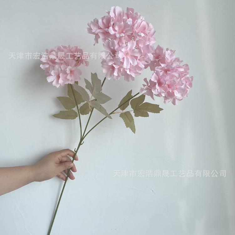 微信图片_202207211439003_副本