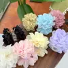 Nuevo Pinza de Flor para el Cabello Pinza de Resorte y Verano Dulce Simple Accesorios para el Cabello Moda Combinable para Todo Clip para Cola de Caballo Alta Estilo de Celebridad de Internet Pinza para el Cabello