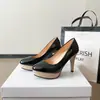 Zapatos de tacón alto estilo francés para mujer con tacones finos, plataforma, nuevo modelo de primavera 2026, delicados y adecuados para combinar con faldas, zapatos Mary Jane de un solo color