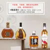 Garrafas de Vinho Decorativas, Decorações de Vinho, Acessórios para Casa, Decorações para Adega, Adereços para Showroom, Vinho, Garrafas de Vidro XO