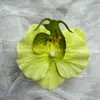 Cabeça de Flor de Orquídea Phalaenopsis Artificial, Textura de Película Impressa em 3D, Buquê Exquisito para Decoração de Casamento e Lembrança