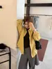 Camisa de Manga Larga Casual Básica Versátil KITTIN Cepillada para Mujer, Primavera y Otoño, Holgada, Color Sólido, con Bolsillo