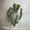 Plantas Verdes Estilo Bosque Simuladas y Paisajes de Hojas Verdes, Arreglos Florales para Bodas de Hotel Estilo Bosque al Aire Libre, Proyectos de Paisajismo para Carreteras y Jardines