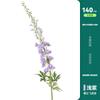 Simulación de gran rama de delphinium, tallo largo, jacinto, boda, paisajismo, flor, material, piso, jarrón, decoración, simulación, flor, seda, flor
