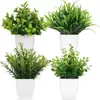 Amazon Hierba de Primavera Artificial Pequeña en Maceta Hoja de Frijol Persa Hoja de Orquídea Planta Verde Decoración del Hogar Planta Verde Pequeño Bonsái