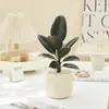 Bonsai de Ficus Elastica Black Diamond, Perene e Fácil de Cuidar, Adequado para Casa e Escritório, Melhora a Qualidade do Ar
