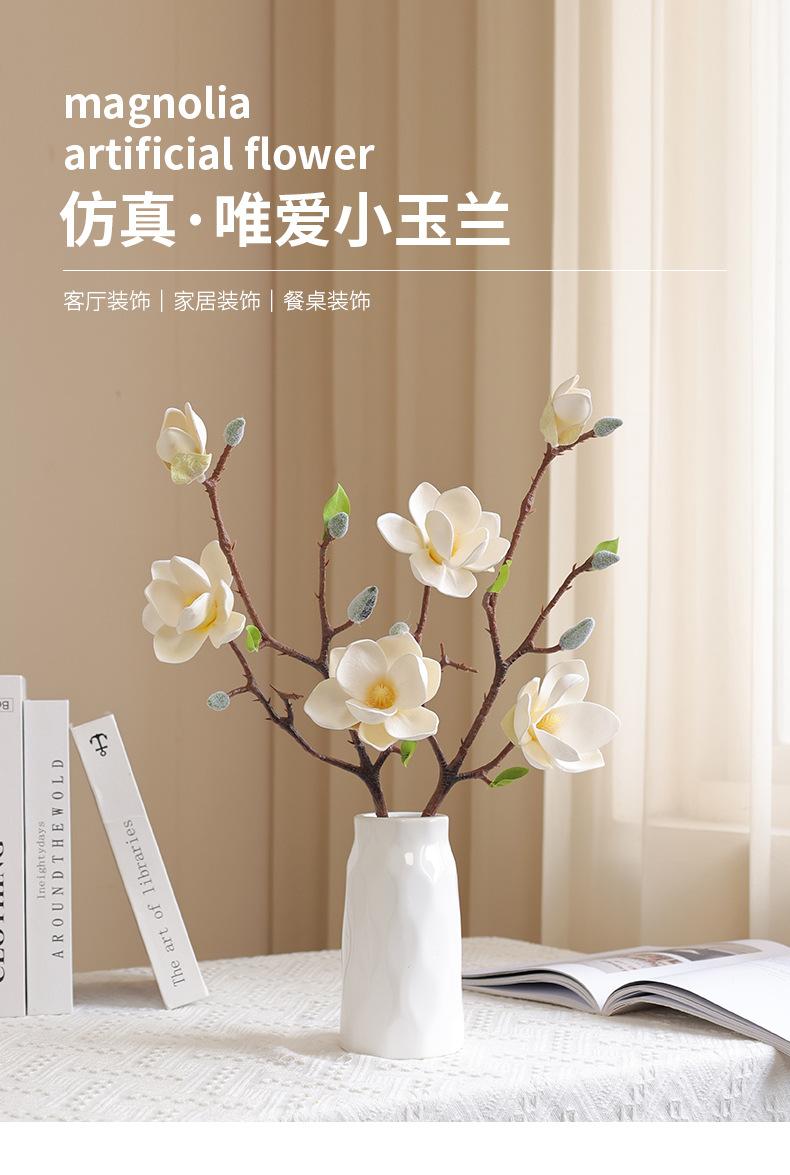 唯爱小玉兰_01.jpg