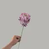Campo de Trigo de Van Gogh Flor Imperial de Cabelo Longo Artesanato Fabricante de Flores Artificiais Flores Falsas Plantas Verdes Atacado Decoração de Casamento