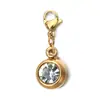 Colgante de Piedra de Nacimiento de Diciembre de Acero Inoxidable de Alta Gama para Collar DIY, Nicho Transfronterizo Europeo y Americano, 6mm