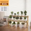 Suporte de Planta Suculenta para Peitoril de Janela, Prateleira de Janela de Chão para Sala de Estar, Suporte Pequeno de Flores de Madeira Maciça para Mesa, Prateleira de Armazenamento de Enfeites de Múltiplas Camadas