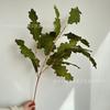 Nueva flor artificial de una sola rama con hojas de Buda para bodas, ceremonias, techos, caminos elevados, hojas decorativas, proyecto de plantación verde al aire libre