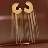 Aretes Largos Irregulares con Borlas y Ganchos de Plata, Sensación de Lujo Ligero y Gama Alta, Estilo Europeo y Americano, Aretes Únicos y Audaces para Mujer