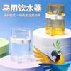 Dispensador Automático de Agua para Estorninos, Mynas, Periquitos y Otras Aves; Comedero para pájaros; Suministros para Pájaros Paloma; Suministros transparentes para aves de compañía
