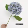 Flores Artificiales de Hortensia tipo Paleta Nuevas Transfronterizas Arco Floral de Boda Accesorios de Fotografía Flores Artificiales de Color Otoño Venta al por Mayor