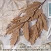 Nuevo Salón de Bodas de Color Café con Temática de Otoño Decoración Suave Materiales de Hojas, Arreglos Florales Decorativos, Flores Artificiales y Flores Falsas al por Mayor