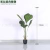 Decoración de Piso de Planta Grande Estilo Nórdico Famosa en Internet Bonsái Artificial Sumatrano en Maceta Falso