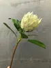 Simulação Impressão Única Grande Flor Imperial Flor Dominadora Nórdico Simples Decoração de Casa Enfeites Estampa Pastoral Flor de Princesa