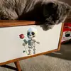 BRUP Lindo Estilo Q Esqueleto Pequeño Pegatina para Switch Sosteniendo una Figura de Esqueleto con una Rosa Pegatina Divertida para Decoración de Pared BR5826C