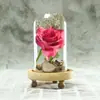 Tecido de seda simulada vermelho, tampa de vidro de rosa, exportação transfronteiriça, pinho de mesa, planta verde, ornamentos de micro paisagem, personalização de fábrica