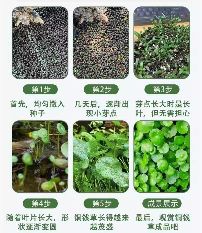 a88bc81b-28eb-4391-8e6a-db4239fe43f8.jpe