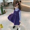 Dropshipping de Roupas Infantis Transfronteiriças Vestido de Menina 2025 Primavera & Outono Novo Vestido Princesa Infantil Vestido Colete