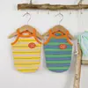 Chaleco de Ropa de Verano para Perros Mascotas para Bichón, Teddy, Pomerania, Caniche, Corgi, con 25 Rayas de Colores y Correas de Borde en Contraste