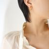 Pendientes metálicos personalizados con aros de estilo europeo y americano para mujer, tendencia de moda transfronteriza, pendientes chapados en oro de acero y titanio, accesorios.