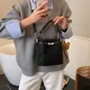 Bolso Cubo Retro de Gama Alta de Nicho para Mujer, Bolso de Mano Pequeño, Moda Nueva Otoño e Invierno 2025, Bolso Cruzado Versátil