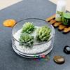 Vaso de vidro grande para flores, recipiente hidropônico, transparente, criativo, personalizado, planta de rosas verdes, multifuncional, vaso de cobre com grama para dinheiro, levantado na água