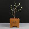 Ciruelo en Maceta Interior Perfumado Ciruelo de Invierno Bonsái Ciruelo Rojo Pila Vieja Balcón Patio Plantas Resistentes al Frío Fáciles de Cultivar