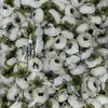 Um Botões de Chá Artificiais de 4cm, Flores Artificiais, Acessórios para Caixa de Presente de Doces Estilo Floresta, Roupas, Sapatos, Chapéus, Acessórios Decorativos