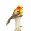 Pájaro de simulación, espuma de alambre, artesanía de pájaro, pájaro de simulación, floricultura de jardín, paquete de pájaro de plumas de colores, decoración DIY