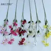 Nuevas Flores Artificiales de Clemátide de 7 Cabezas en Stock, Arte Floral para el Hogar, Decoración de Camino de Boda, Adornos de Flores Artificiales para el Hogar