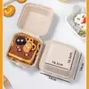 Caja de almuerzo desechable Boshi, caja de embalaje para frutas, caja bento, comida ligera, fruta cortada, paquete de picnic para salida de primavera, recipiente de comida dividido de doble compartimento