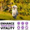 Multivitamínico para Pets Mais Vendido Transfronteiriço Suporta Articulações Pele Coração de Cachorro Condroitina Fabricante Oe m