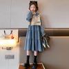 Vestido de niña, ropa de otoño 2023, nueva falda infantil estilo occidental, ropa de otoño para niña, chaleco vaquero, traje de dos piezas, moda